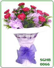Unspeakable Love   ( SGHB 0066  )  12 Stalks of Red Carnation with yellow peacock. Special design wrapping for hand bouquet..