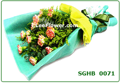 To The World's Greatest Mother ( SGHB 0071 ) 12 Stalks of Pink Carnation for Hand Bouquet