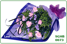 My Lovely Mother  ( SGHB 0073 )   12 Stalks of Pink Carnation for Hand Bouquet 
