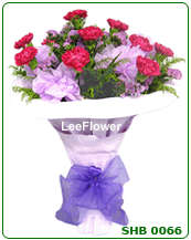 Unspeakable Love   ( SHB0066  )  12 Stalks of Red Carnation with yellow peacock. Special design wrapping for hand bouquet..