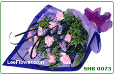 My Lovely Mother  ( SHB0073 )     12 Stalks of Pink Carnation for Hand Bouquet 