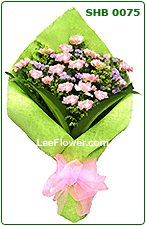 Mother's Heart  ( SHB0075 )   18 Stalks of Pink Carnation for Hand Bouquet 