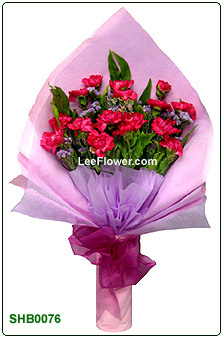 ( SHB0076 ) 12 Stalks of Pink Carnation with yellow peacock for hand bouquet. Flower Delivery Service to Sabah and Sarawak