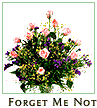 Forget Me Not