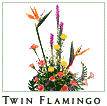 Twin Flamingo