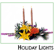 Holiday Lights 
