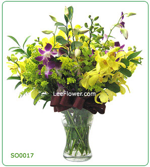 ( SO0017 )   Greetings
