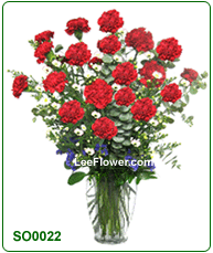 ( SO0022 )  15  Stalks of Red Carnation with White Peacock Arrangen in a Glass Vase