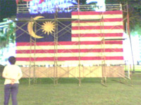 Malaysia Flag with Flowers