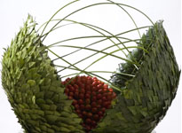 International floral design and education 