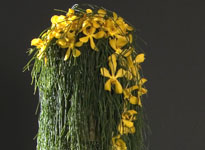 International floral design and education 