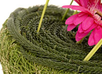 International floral design and education 