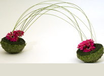 International floral design and education 
