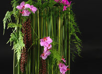 International floral design and education 