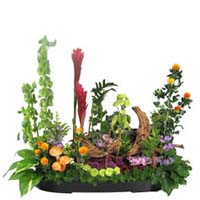 Student's Flower Arrangement  at Lee Flower Design Academy