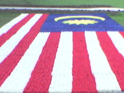 Malaysia Flag with Flowers
