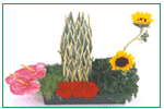 Lee Flower Design Courses