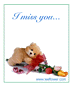 I  Miss You...