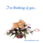 I'm thinking of you