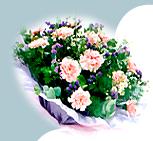 The preferred online florist in Malaysia